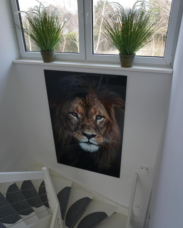 Ferienhaus Marny Trassenheide Zewnętrze zdjęcie